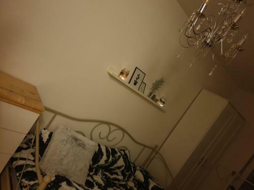 Exit Happy Tribe Apartment
