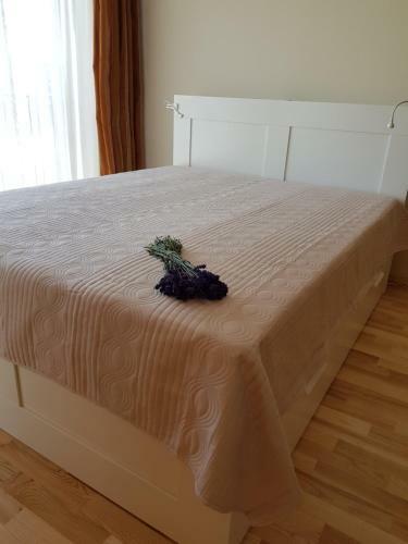 Apartamento Sauleje