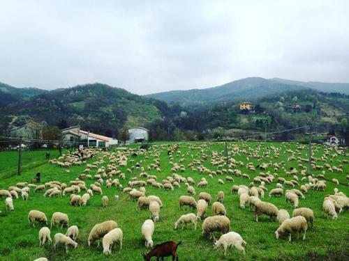 B&B Cascina Santa Gavi