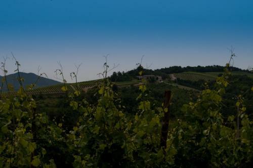 B&B Cascina Santa Gavi