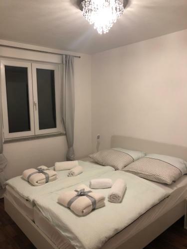 Apartment Three Lions
