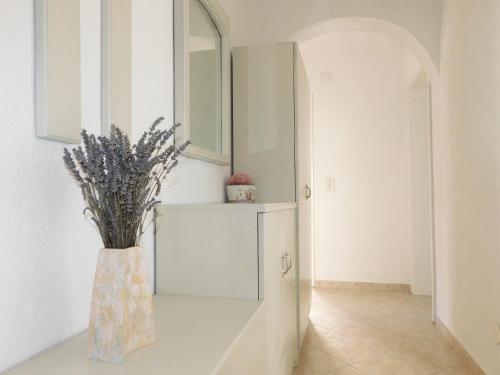 Apartamentos Bari?i?