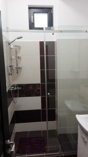 Apartament Stefan