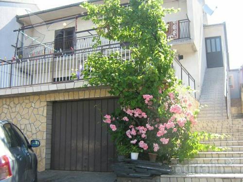 Apartment Biondic