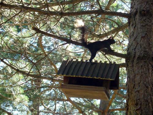 Hostal Apartments Nova Lika