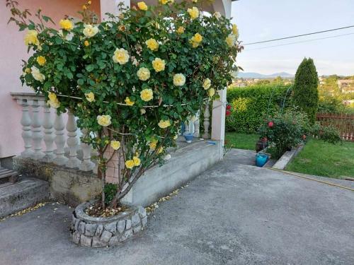 Apartamento Vi?kovo House Near Opatija