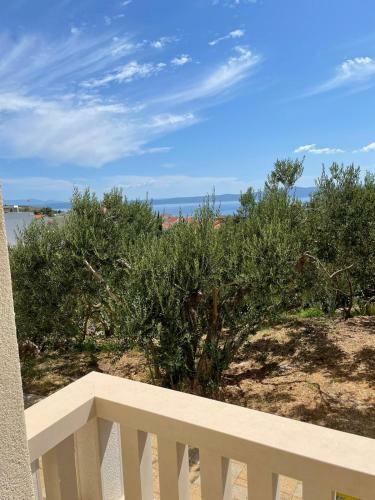 Patafta Apartmani