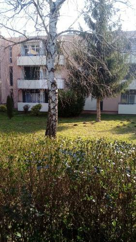 Apartamento 8 Term�l �t