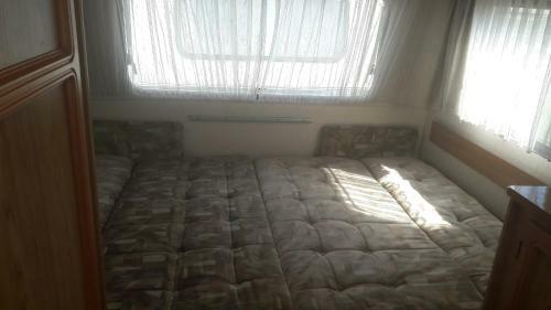 Blekitna Ostryga