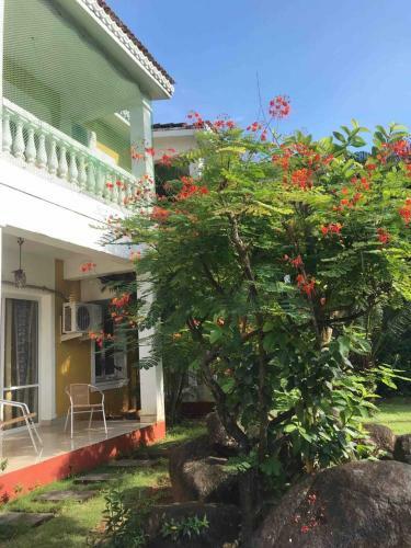 Sun-kissed Holidays Goa-sapphire