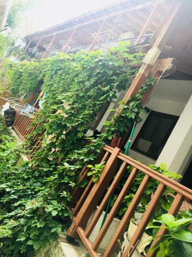 Hostal Avra Apartments