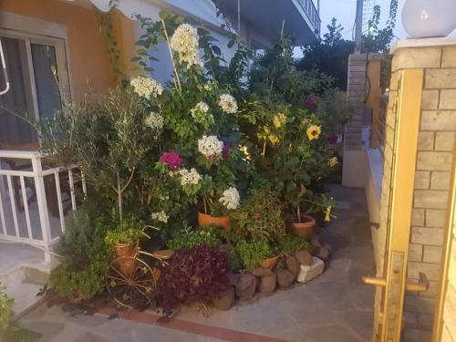 Apartamento Villa Leonidas