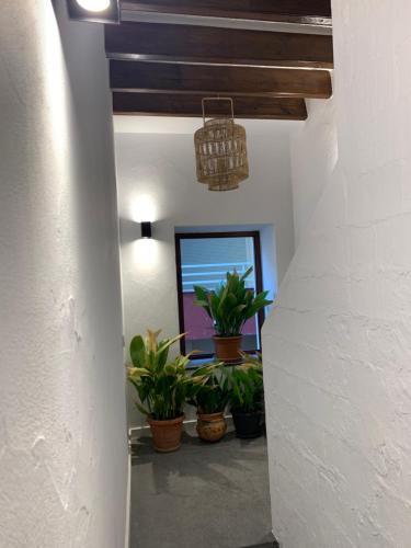 Apartament Galan1966