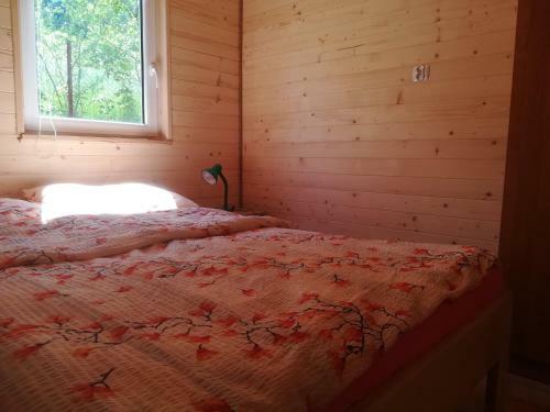 Lodge Domki Pod Wi?zem Solina 20