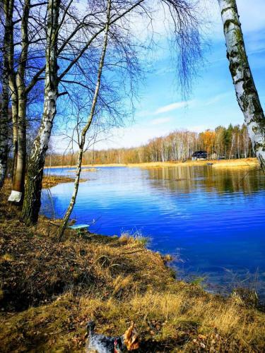 Apartamento Wiking