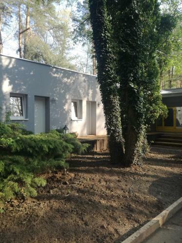 Apartamento Wiking
