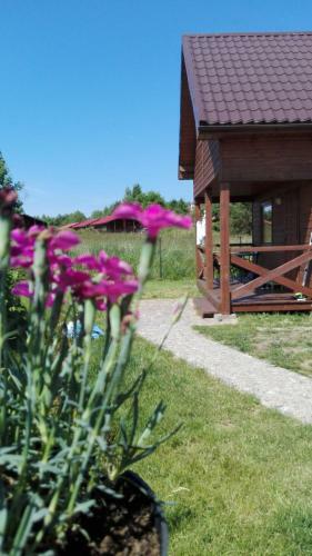 Lodge Domki Letniskowe Oaza Wicie
