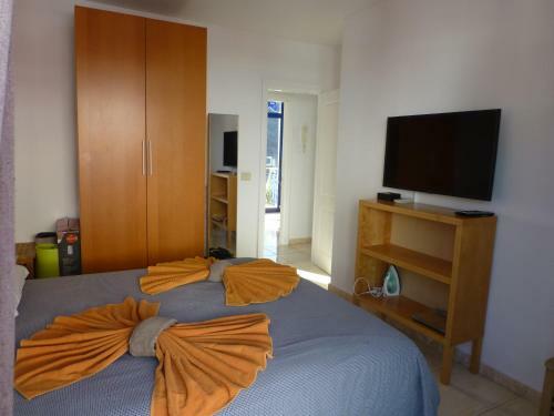 Apartamento Penthouse Mog�n