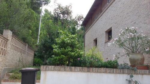 Tre Cammelli In Collina