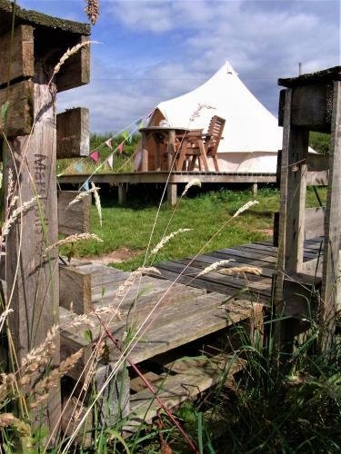 Archers Glamping Meadow