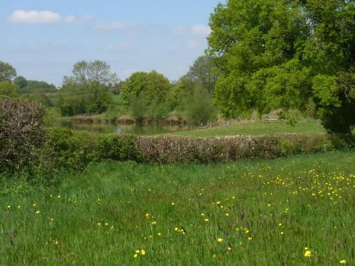 Archers Glamping Meadow