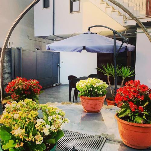 Apartamento Villa Alfredo