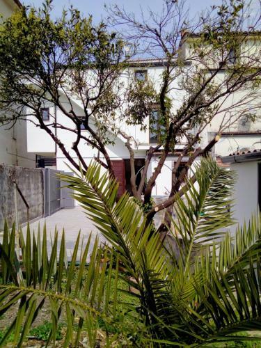 Apartamento Villa Alfredo