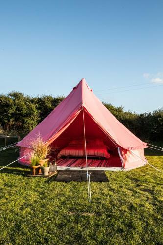 The Paddock Wildcamp