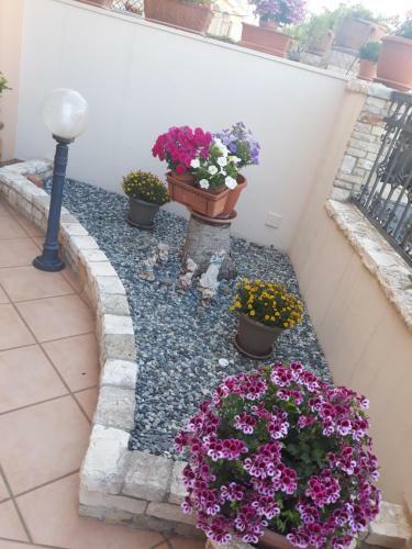 Casa Ale
