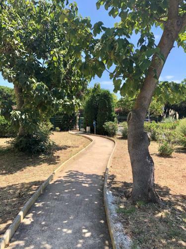 Apartamento C19 Le Colis�e