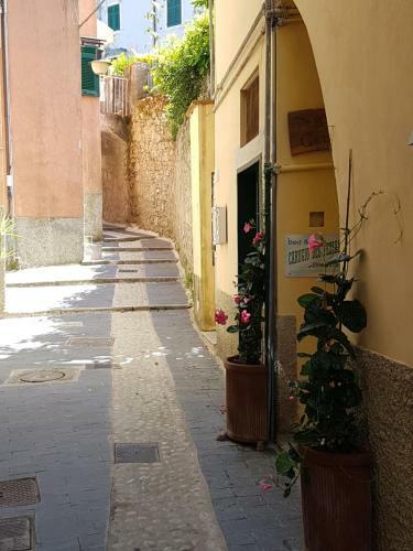 Bed & Breakfast Carugio Del Fezzano