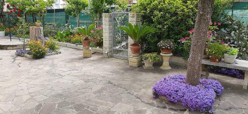 Casamare B&B