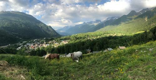 Amazing View