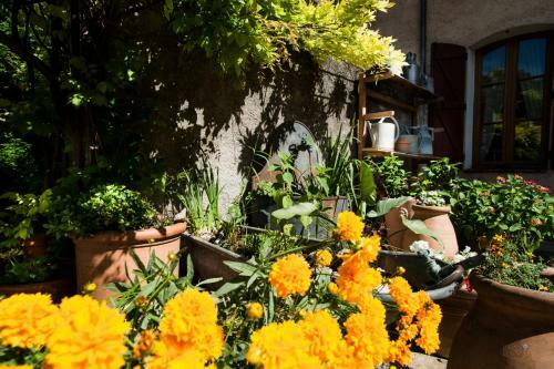 Bed & Breakfast Villa De Lorgues