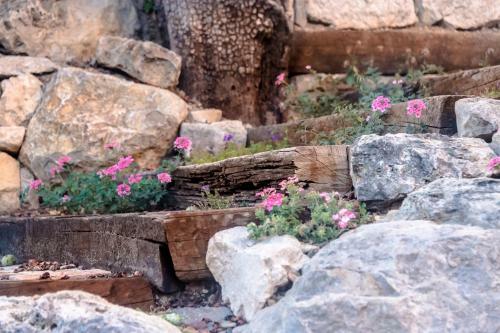 Bed & Breakfast Villa De Lorgues