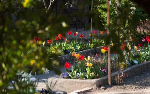 Bed & Breakfast Villa De Lorgues