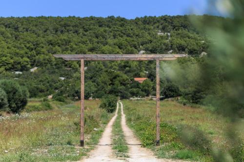 Villa Olive Grove House