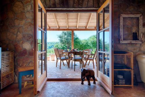Villa Olive Grove House