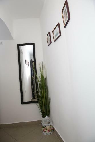 Apartments Stonehouse