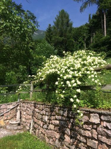 C� Nora - Baita Monte Velo A Quota 1.000 Mt.