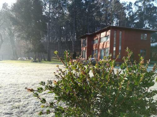 Wooden House