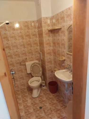 Hostal Guest House - Viktor
