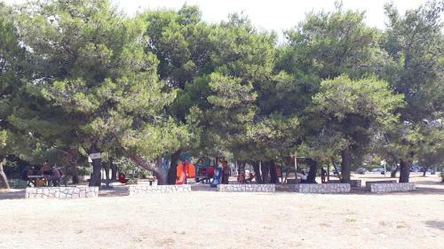Apartman Roko