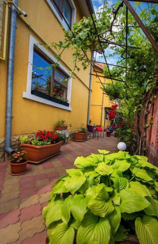 Hostal Vila Levent Mangalia