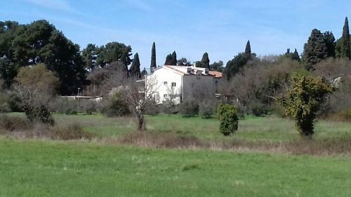 Apartman Laste-rondule