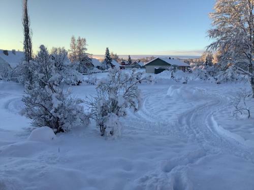 Villa Lillh�rdal