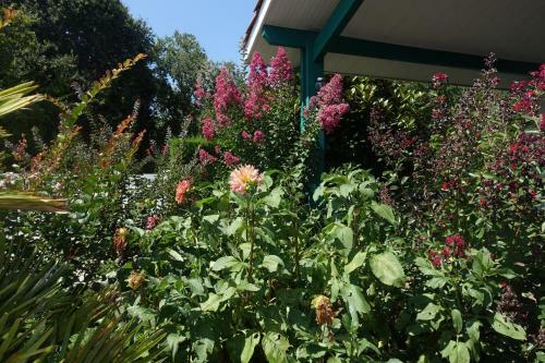 Bed & Breakfast L Annexe