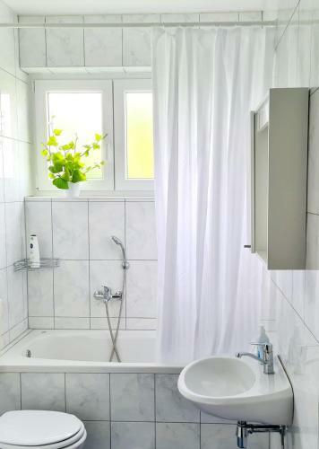 Apartmani Paic