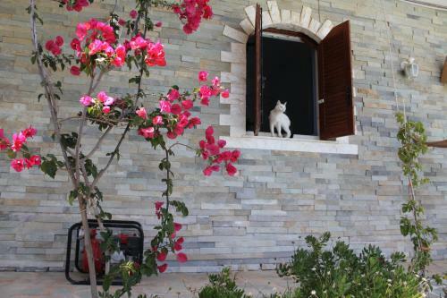 Romina Summer Home1