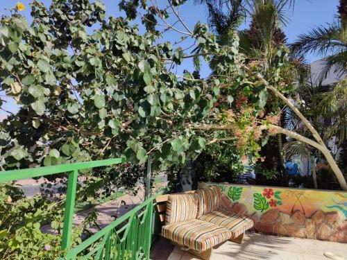 Bed & Breakfast Ahla Dive Time